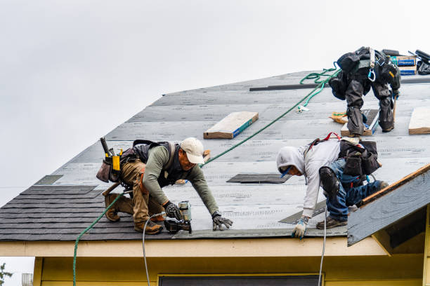 Professional Roofing technician working in Tioga Center, NY